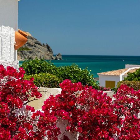 Lemon Tree Apartment Praia Da Luz Ngoại thất bức ảnh