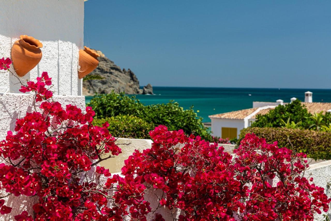 Lemon Tree Apartment Praia Da Luz Ngoại thất bức ảnh